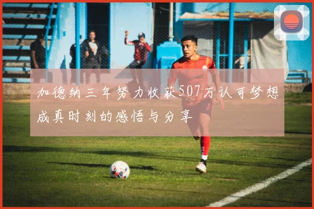 加德纳三年努力收获507万认可梦想成真时刻的感悟与分享